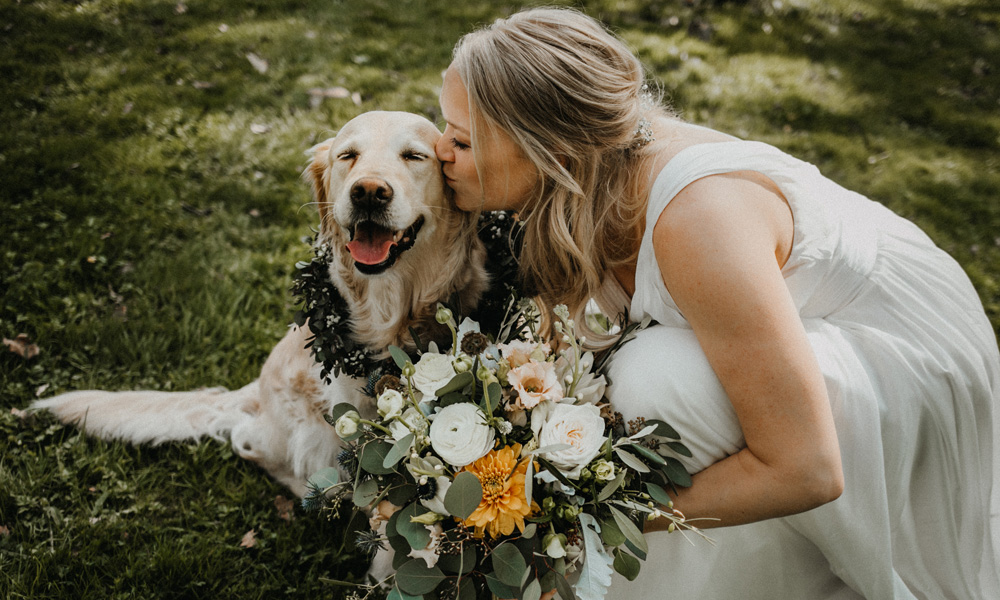 23+ Buzz Cut Golden Retriever Haircut Styles